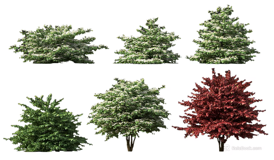 Various Types of Garden Shrubs with Green and Red Foliage and Different Shapes 3d model 