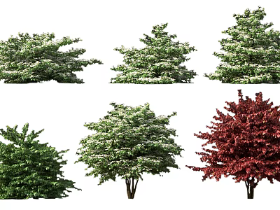Various Types of Garden Shrubs with Green and Red Foliage and Different Shapes 3d model