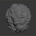Realistic Human Brain 3D Model With Wavy Hair Like Textured Surface 3d model
