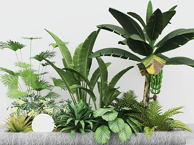 Lush Mixed Tropical Plant Arrangement With Large Leaves Small Ferns And Greenery In Decorative Planter 3d model