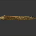 Brown And White Spotted Moray Eel With Long Slender Body On Smooth Reflective Surface 3d model