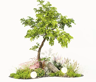 Modern Plants Flowers Pennisetum Styling Tree Courtyard Flowers and Plants Landscape Stone 3d model