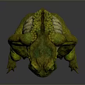 Green Reptile Standing In Gray Background With Yellow Eyes And Textured Skin