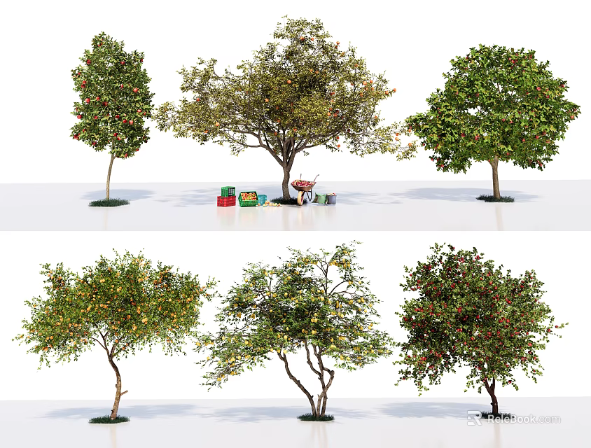 Various Arbor Tree Varieties With Green Leaves Fruits And Garden Tools 3d model 