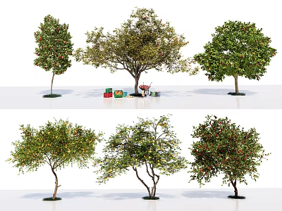 Various Arbor Tree Varieties With Green Leaves Fruits And Garden Tools 3d model