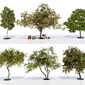 Various Arbor Tree Varieties With Green Leaves Fruits And Garden Tools