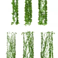Lush Green Vines Hanging as Decorative Leafy Plants for Home Decoration 3d model