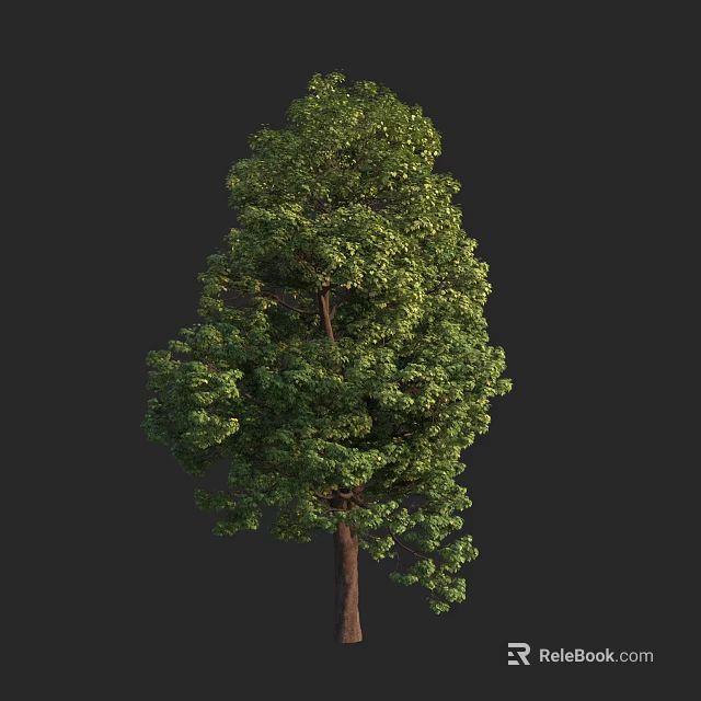 Lush Green Tree with Dense Foliage and Brown Trunk in Natural Environment 3d model 