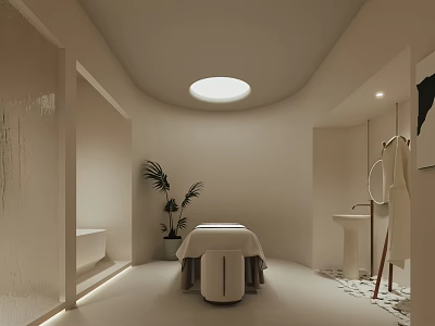Modern SPA Sauna Interior With Massage Table Potted Plant Bathtub And Soft Lighting 3d model