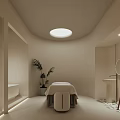 Modern SPA Sauna Interior With Massage Table Potted Plant Bathtub And Soft Lighting