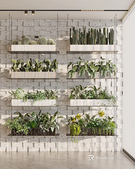 Potted Plants On Wall Mounted Shelves With Cacti And Various Green Foliage 3d model 