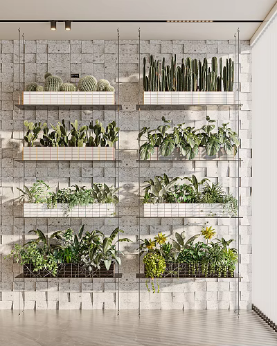 Potted Plants On Wall Mounted Shelves With Cacti And Various Green Foliage 3d model