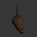 Cute 3D Cartoon Kangaroo Character With Brown Fur And Big Ears