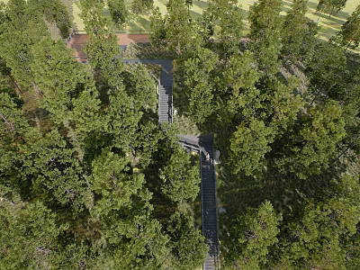 Winding Wooden Boardwalk Through Lush Green Forest With Tall Trees And Scenic Views 3d model