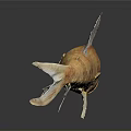 Detailed Orange Spotted Fish Sculpture With White Fins On Dark Background And Reflection