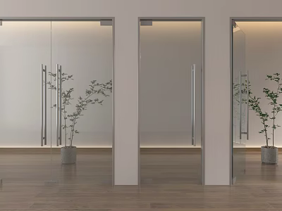 Modern Glass Double Doors Interior With Wooden Floor And Green Plants 3d model