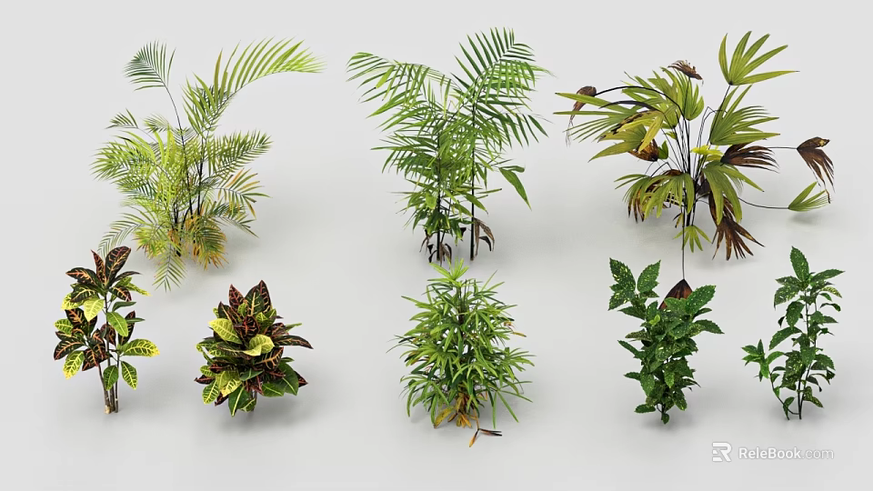 Garden Landscape Design Featuring Diverse Lush Green Plants And Decorative Foliage 3d model 