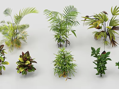 Garden Landscape Design Featuring Diverse Lush Green Plants And Decorative Foliage 3d model