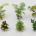 Garden Landscape Design Featuring Diverse Lush Green Plants And Decorative Foliage