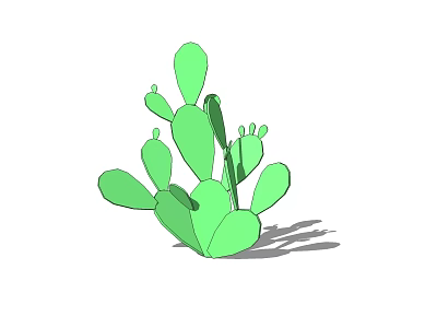 Green Cactus Bonsai Potted Plant with Succulent Leafy Indoor Decorative Appearance 3d model