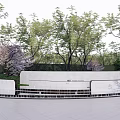 Modern Landscape Wall Surrounded By Cherry Blossom Trees And Green Grass