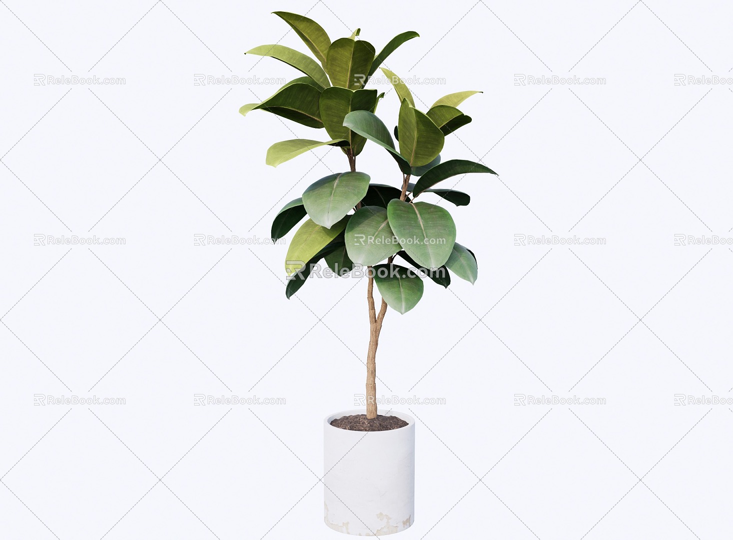 indoor potted plant 3d model