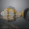 Orange and yellow spotted fish with grey fins tail and sharp teeth