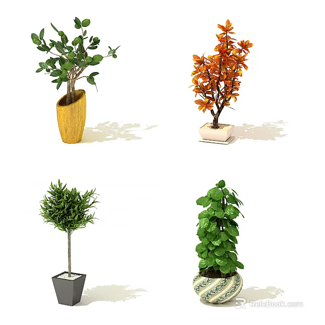 Indoor Bonsai Plants With Various Leaf Colors And Decorative Pots 3d model