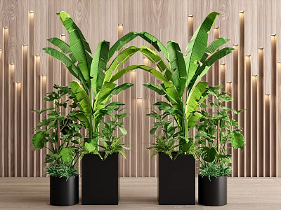 Tall Banana Plant Pots With Small Potted Plants Against Wooden Wall And Light Strips 3d model