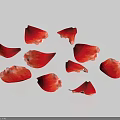 Red Rose Petals Scattered On Light Blue Background With Soft Shadows 3d model