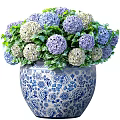 Elegant Potted Hydrangea Plant With Blue And White Patterned Pot And Purple White Green Leaves