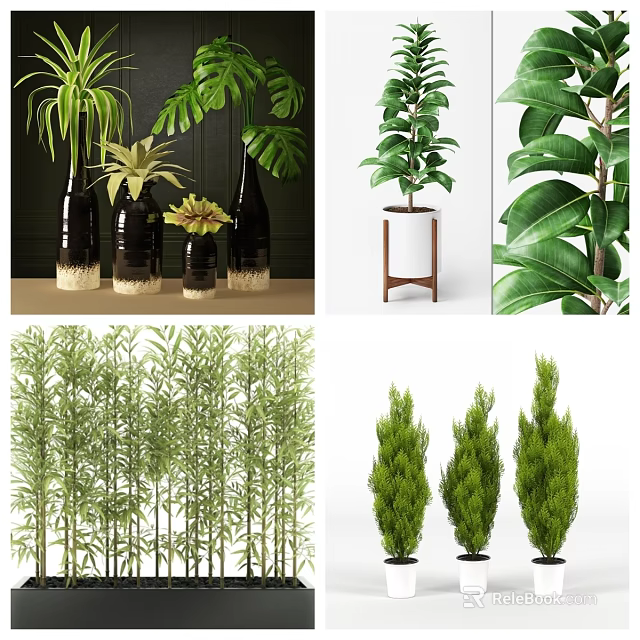 Bonsai Potted Plants With Various Green Foliage Bamboo And Decorative Stands 3d model 
