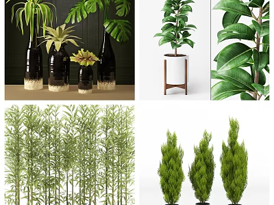 Bonsai Potted Plants With Various Green Foliage Bamboo And Decorative Stands 3d model