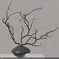 Elegant Gray Vase With Golden Twisted Branches On White Table Light Colored Wall With Light And Shadow