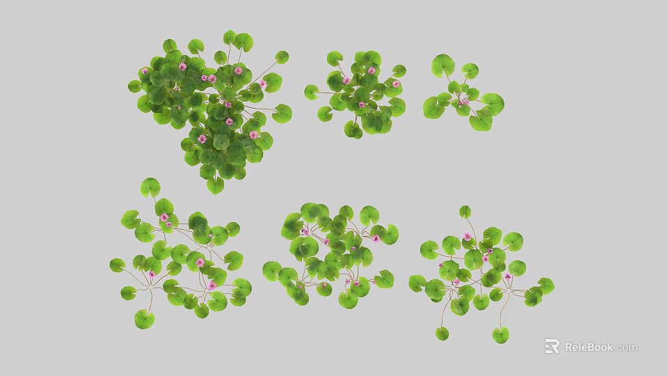 Beautiful Vase Flowers Display With Green Leaves And Pink Blooms For Home Decor 3d model 