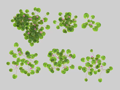 Beautiful Vase Flowers Display With Green Leaves And Pink Blooms For Home Decor 3d model