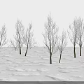 Bare Arbor Trees In Snowy Winter Landscape With White Ground and Leafless Branches 3d model