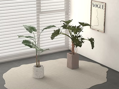 Bonsai Potted Plants in Modern Interior with Window Blinds VOGUE Poster and Beige Wavy Rug 3d model