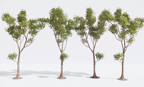 Modern Tree Landscape Tree Garden Tree Big Tree 3d model