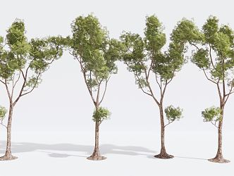 Modern Tree Landscape Tree Garden Tree Big Tree 3d model