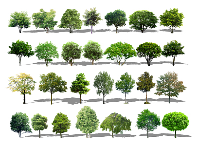 Shrub Trees Modern Tree 3d model