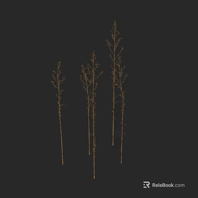 Tall Slender Plants With Delicate Branches Standing On Black Background 3d model