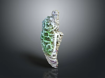 Vibrant Green And Purple Marine Coral Animal Reef Structure On Dark Background 3d model