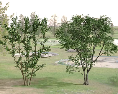 Lush Green Trees With Fresh Leaves In Open Grassland Near Distant Water And Surrounding Trees 3d model