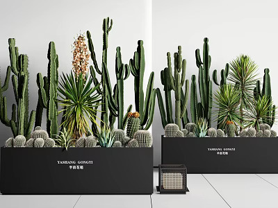 Botanical Plant Combination Featuring Cacti Yucca And Succulents In Black Planters With Labels 3d model