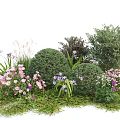 Various Green Shrubs With Pink And Purple Flowers In Lush Garden Landscape