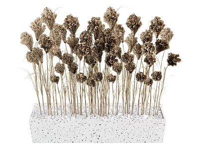 Natural Dried Floral Installation With Decorative Brown Stems In White Speckled Concrete Planter 3d model