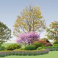 Colorful Garden Flowers And Trees With Purple Blossoms Green Shrubs And Lawn