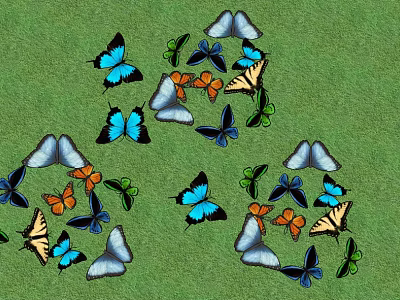 Colorful Butterflies With Blue Orange And Yellow Wings On Green Grass Surface 3d model