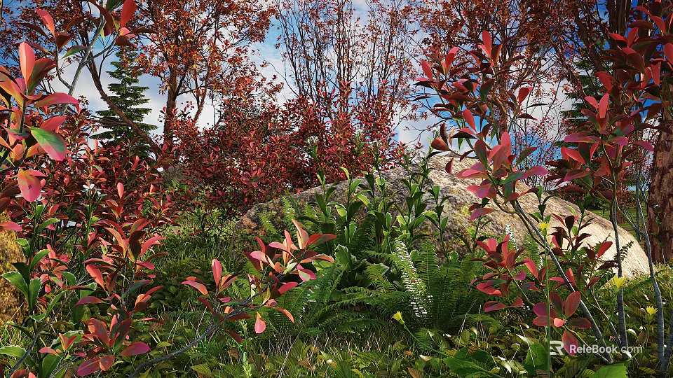 Red Leaf Shrubs in Mountain Forest Natural Setting with Ferns and Greenery Under Blue Sky 3d model 
